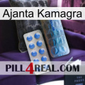 Ajanta Kamagra 40